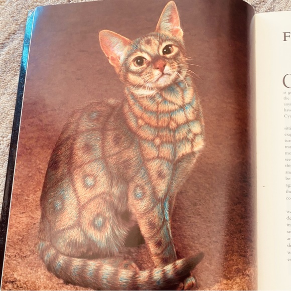 Why Paint Cats Feline Aesthetics Soft Cover Book - Picture 5 of 12